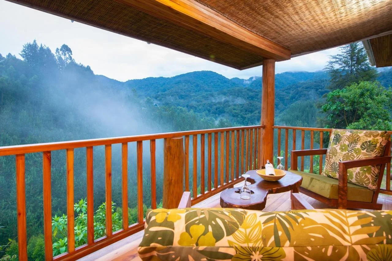 gorilla_leisure_lodge