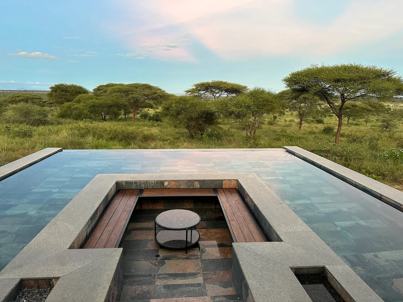 tarangire_elephant_spring