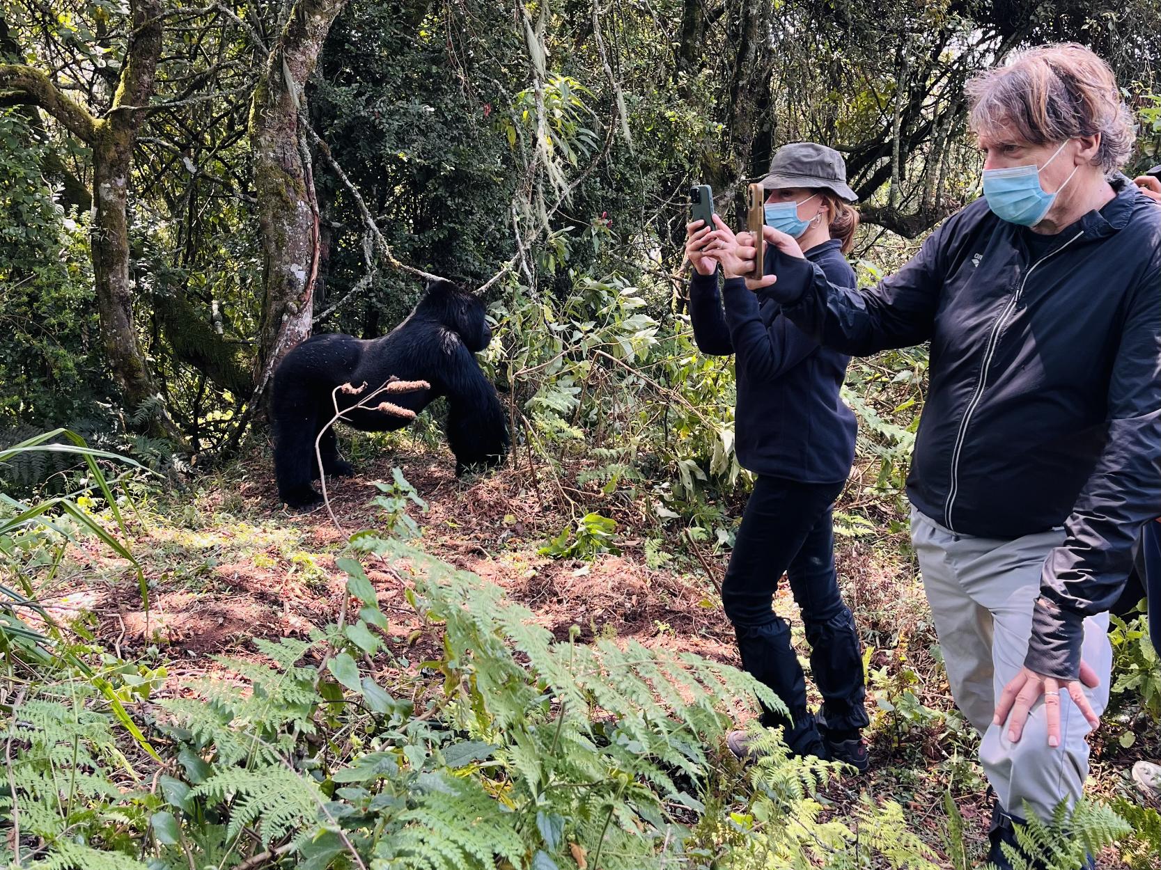 Rwanda Wildlife Experiences with Shalom Safaris