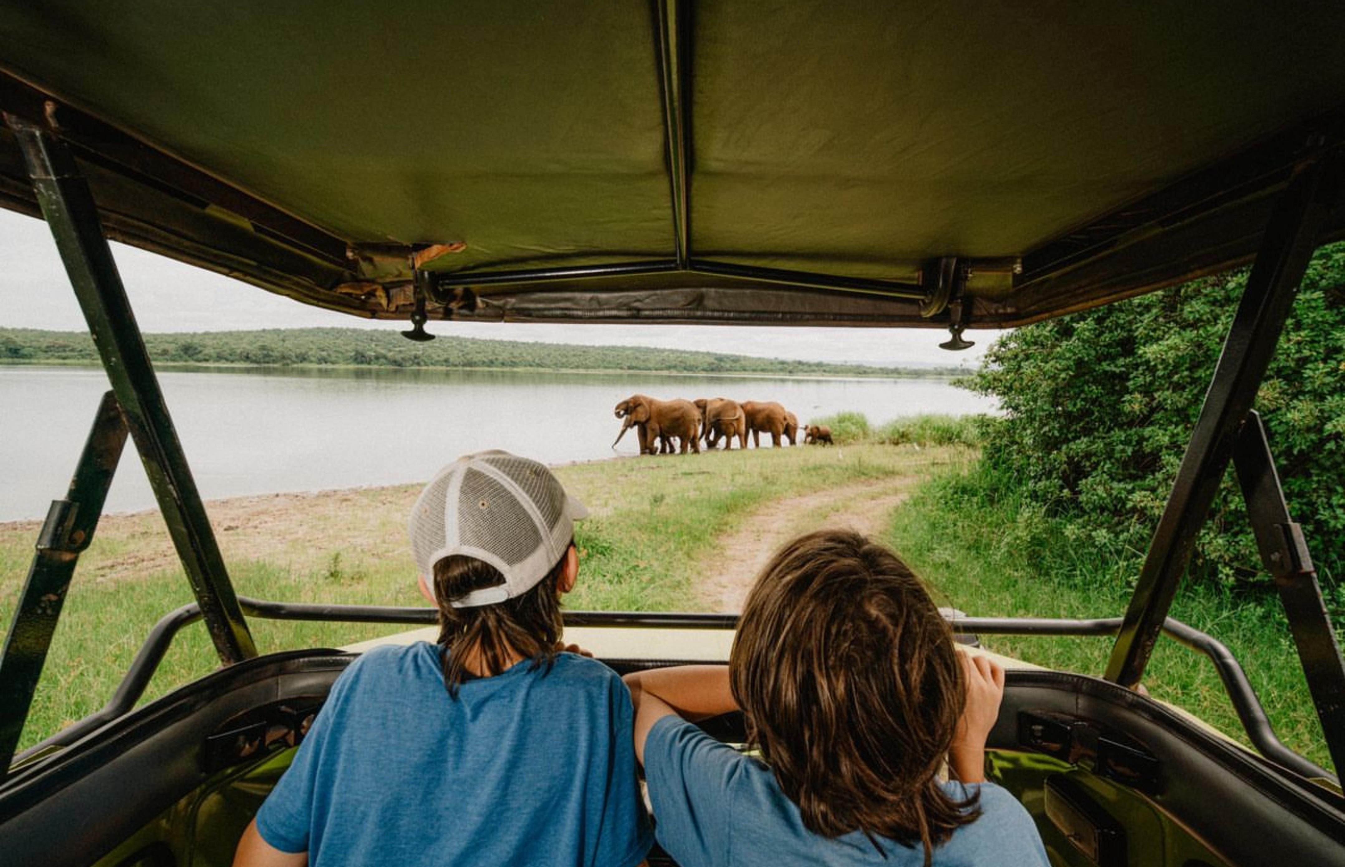 Rwanda Wildlife Experiences with Shalom Safaris