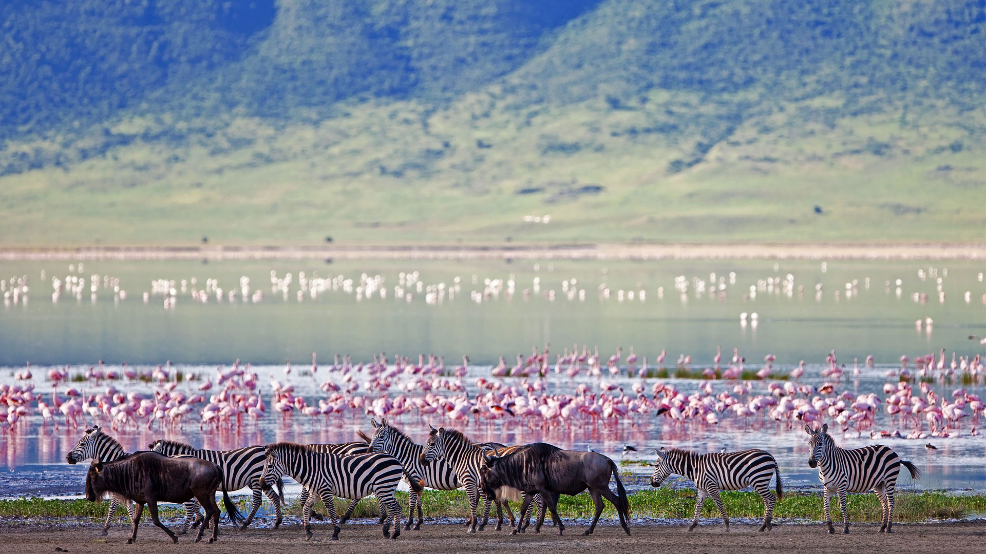 ngorongoro_crater_edge.