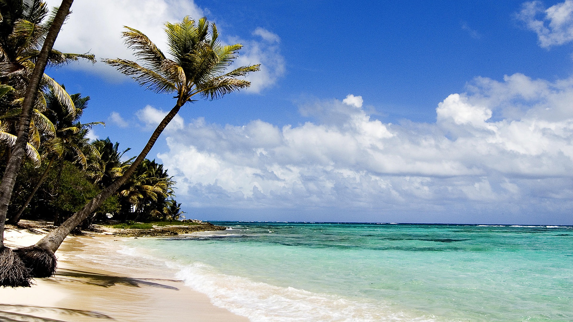 diani