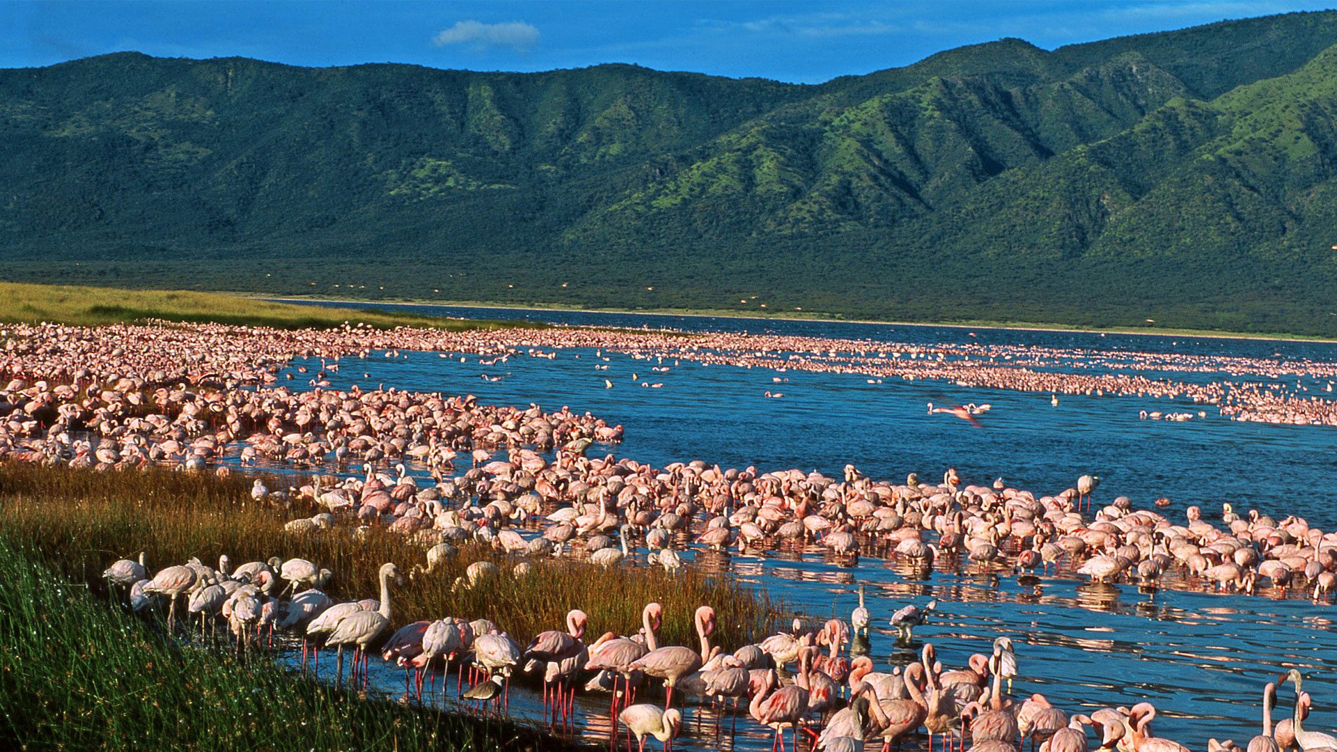 lake_naivasha.