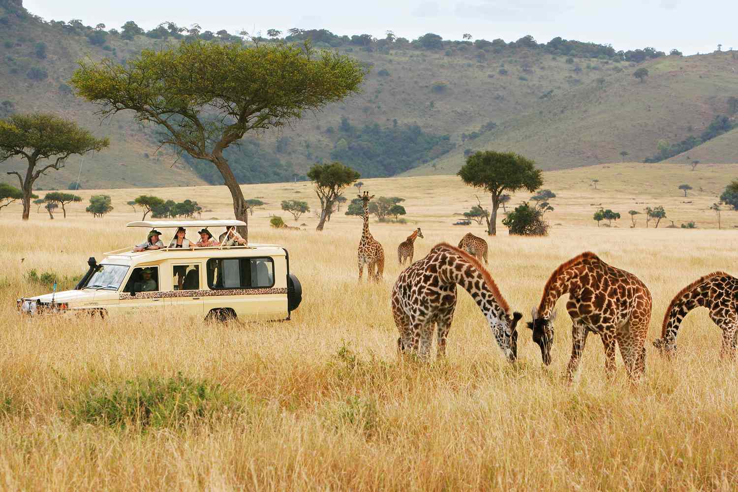 kenya