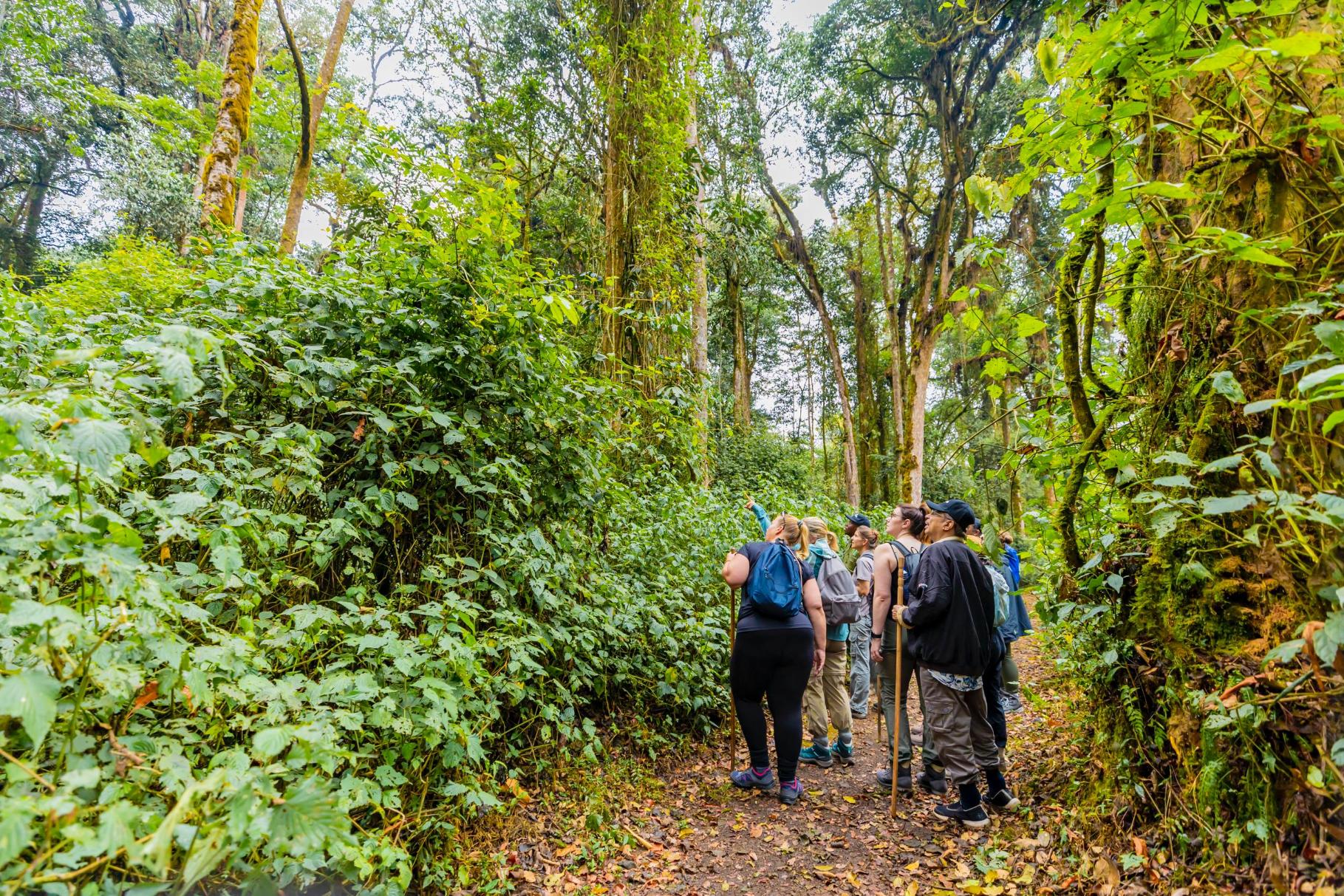 Rwanda Adventure & Community Experience.