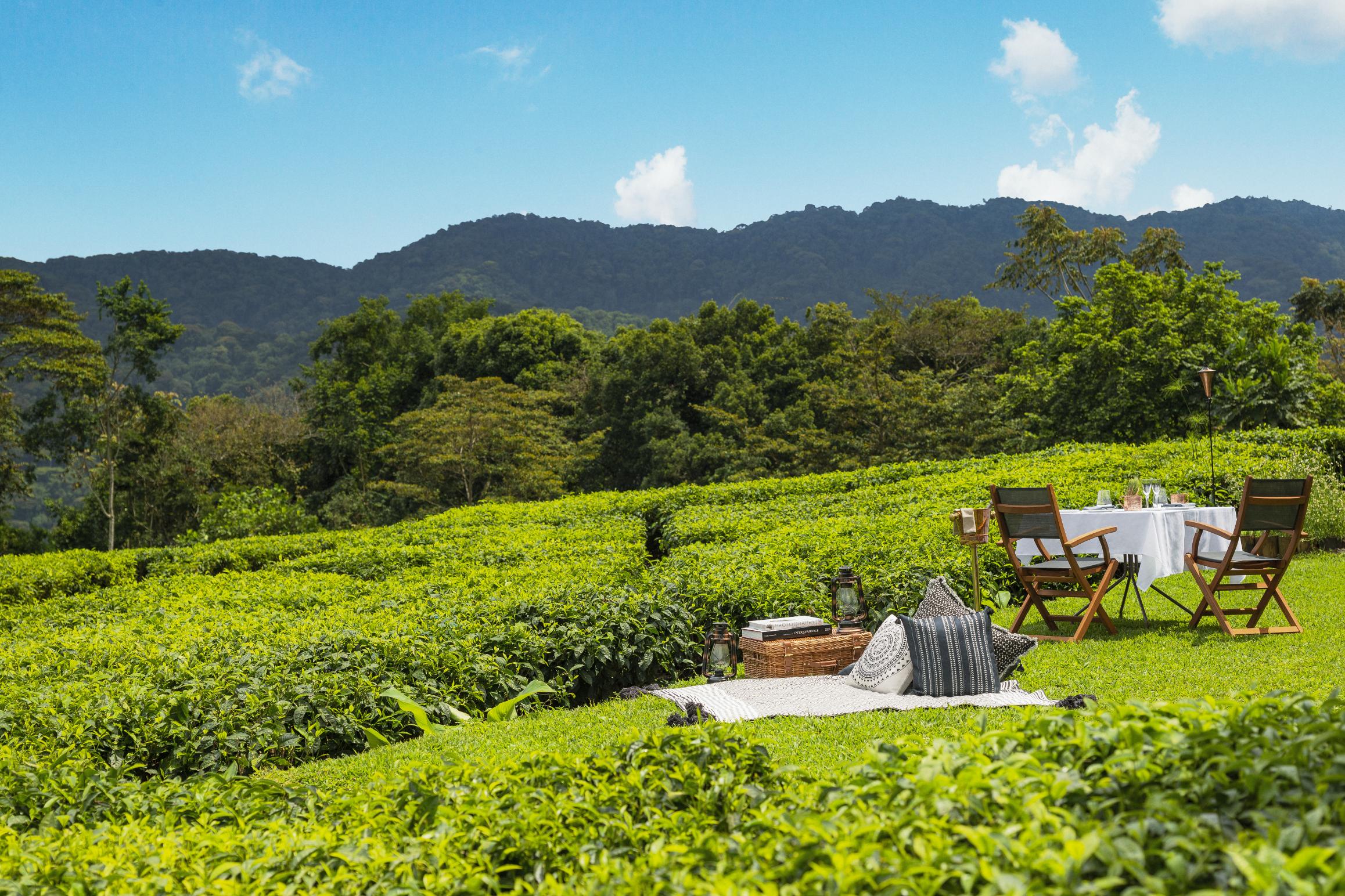 Rwanda Luxury Tour Experience.