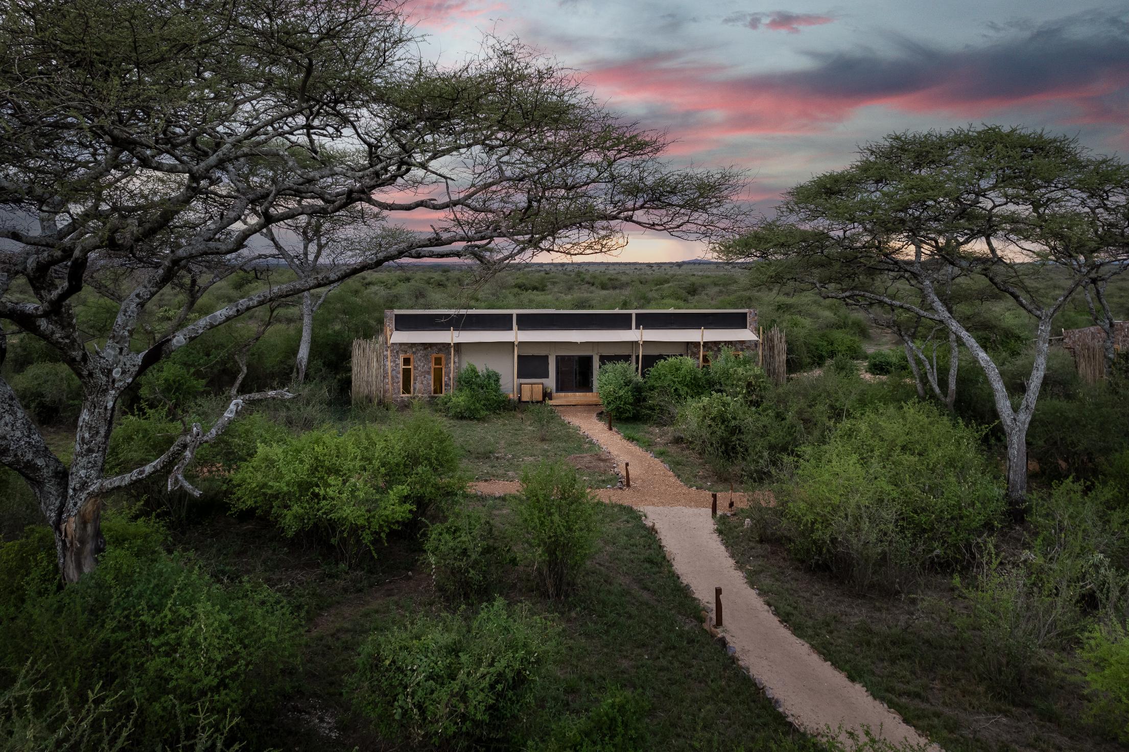 Rwanda Volcanoes & Tanzania Serengeti Experience.