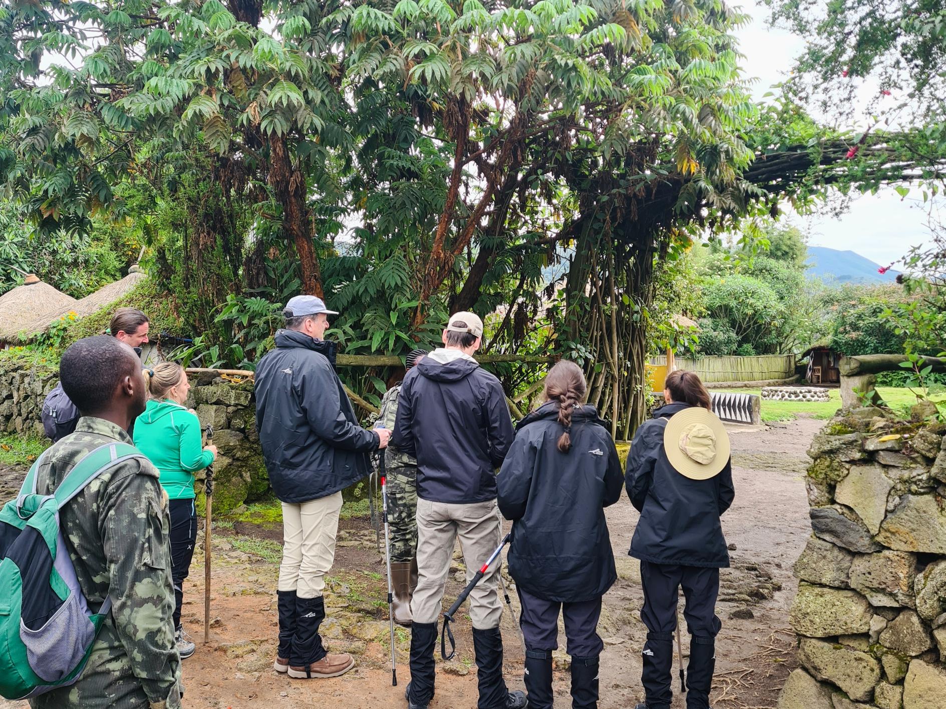 Rwanda Gorilla & Golden Monkey Trekking Group Tour Experience.