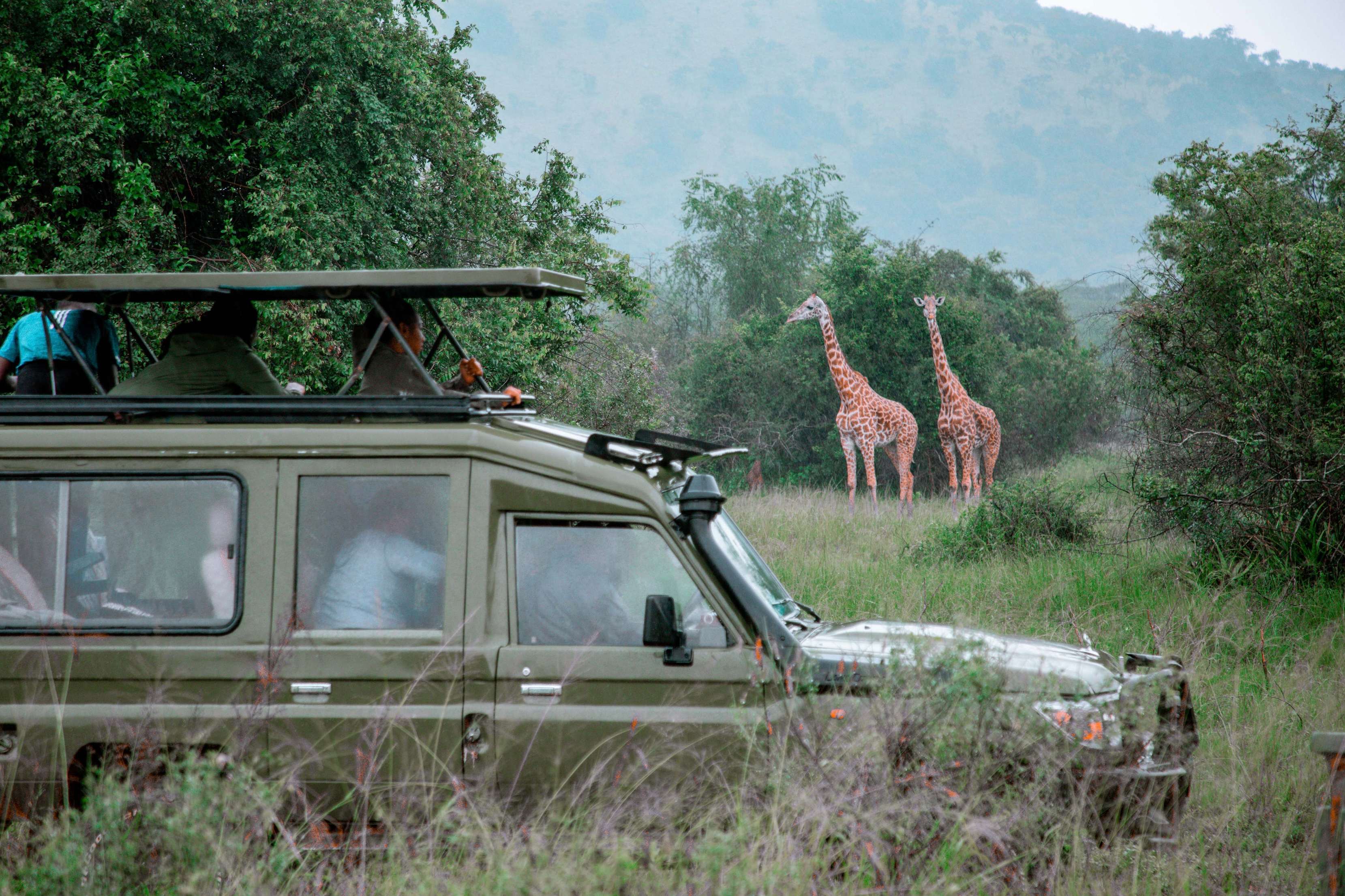 Toyota Land Cruiser Safari 4x4 Pop-up Roof