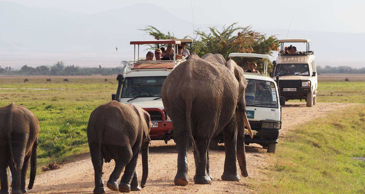 kenya or uganda for safari