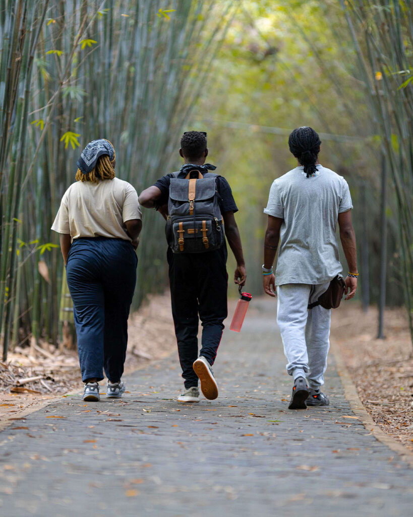 shalom safaris rwanda, nyandungu eco park