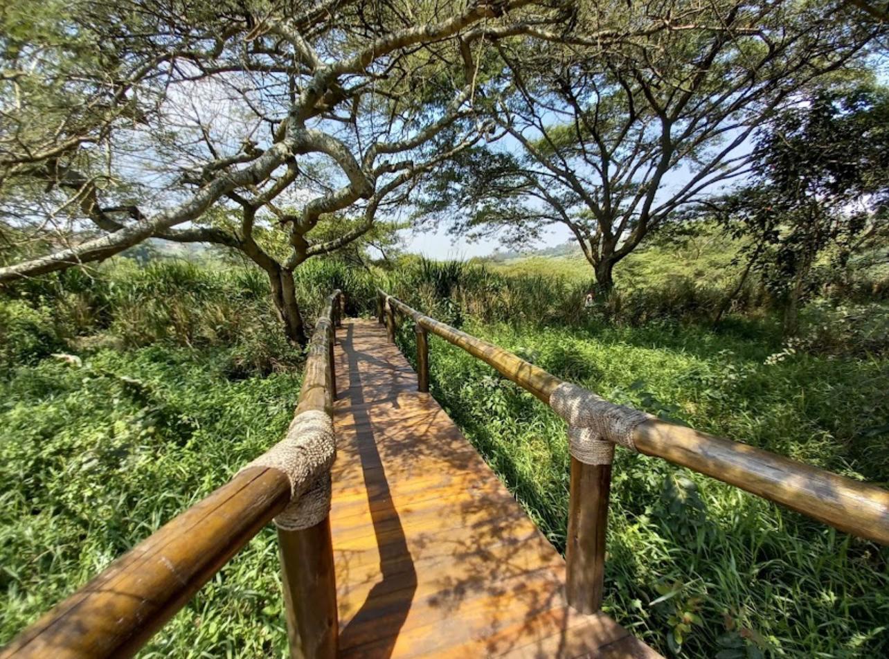 shalom safaris rwanda umusambi village conservation