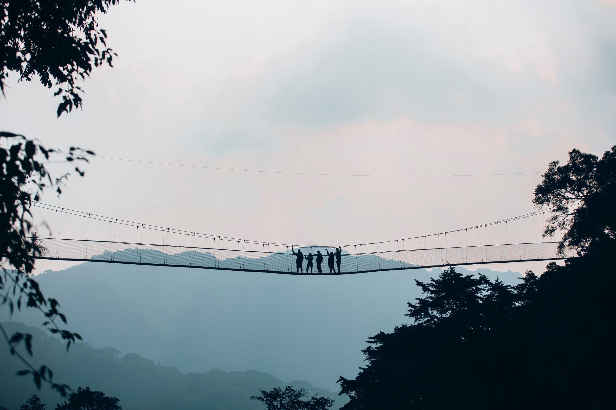 nyungwe canopy
