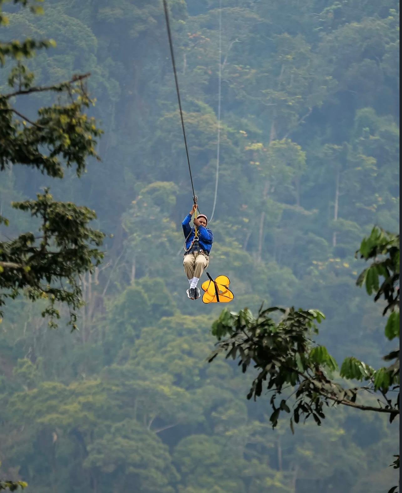 zipline