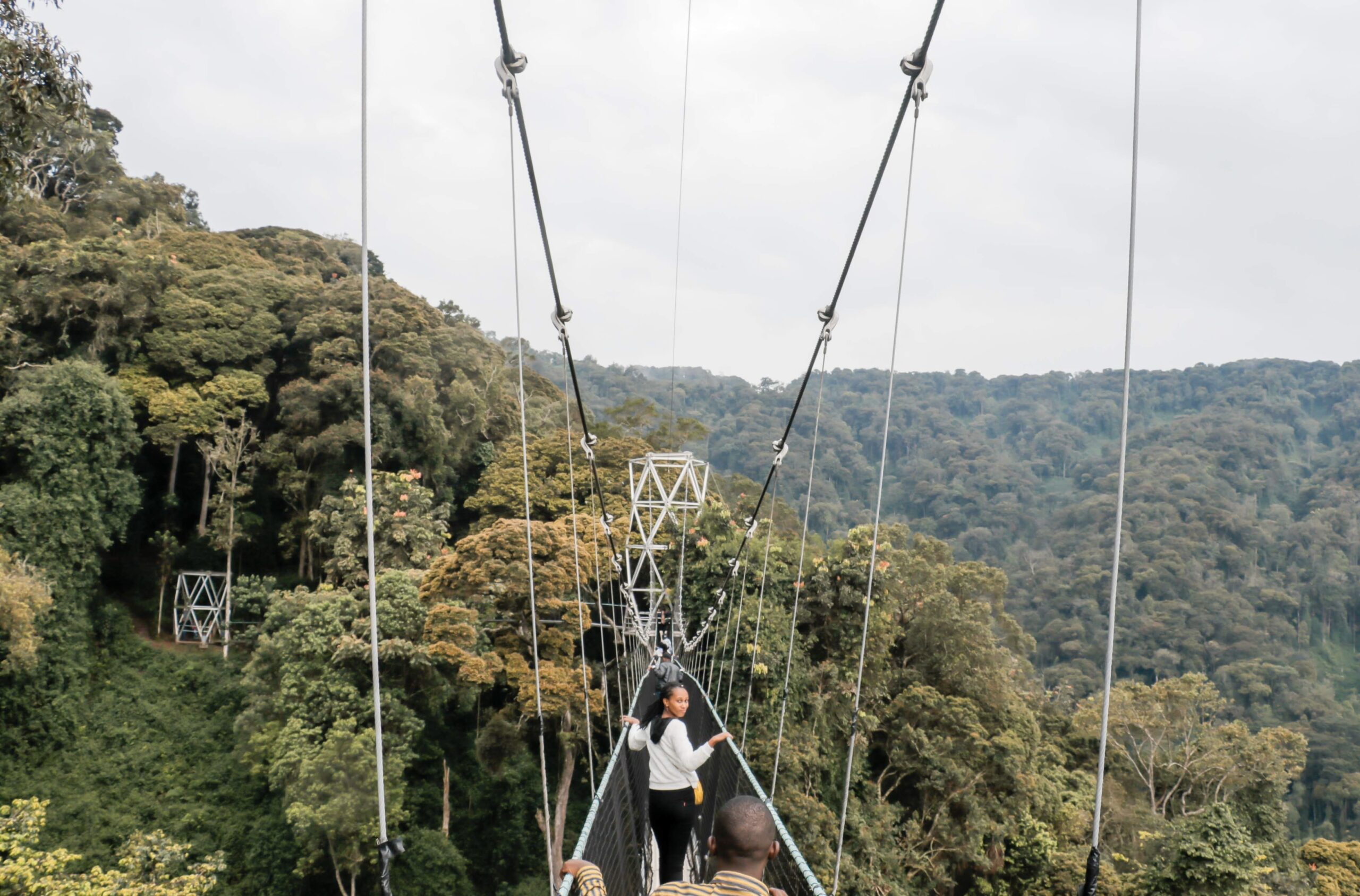 nyungwe national park (canopy walk ) (255) original (1)