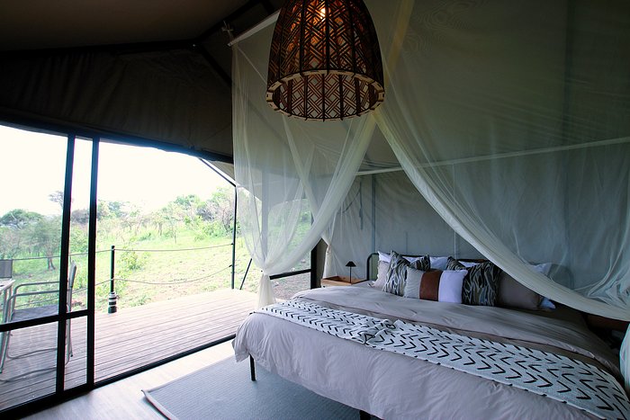 shalom safaris akagera national park (6)