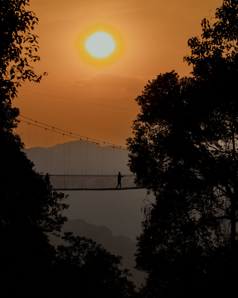 shalom safaris rwanda nyungwe national park, canopy walk