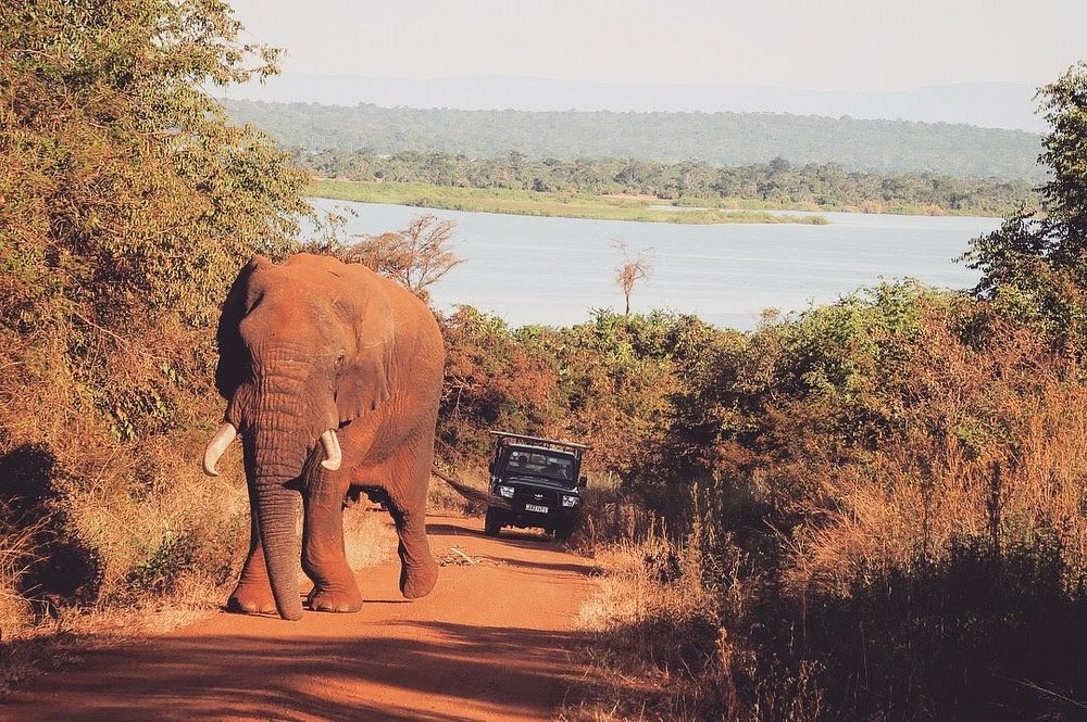 Akagera National Park Rwanda