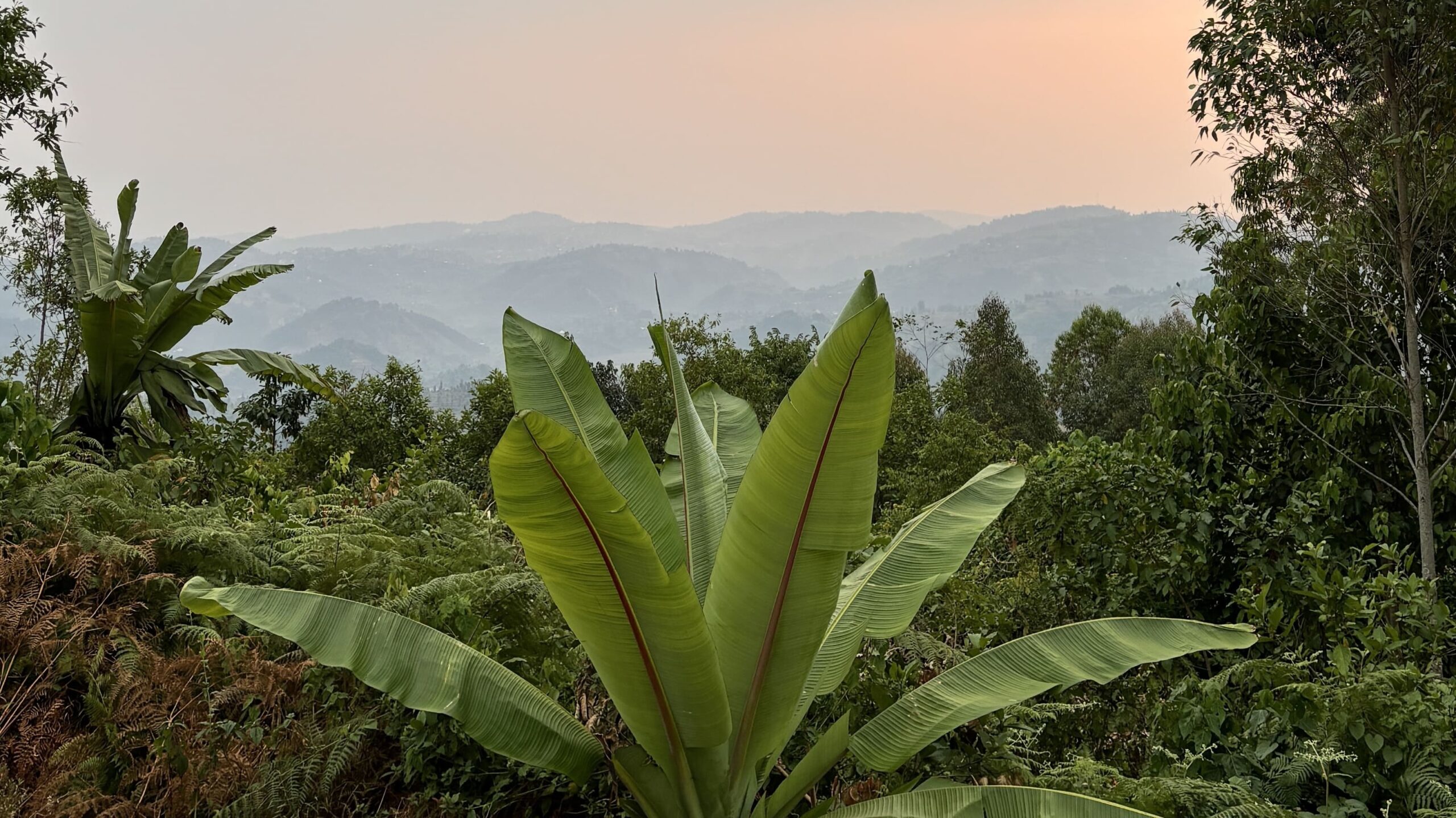 scenic view,rwanda