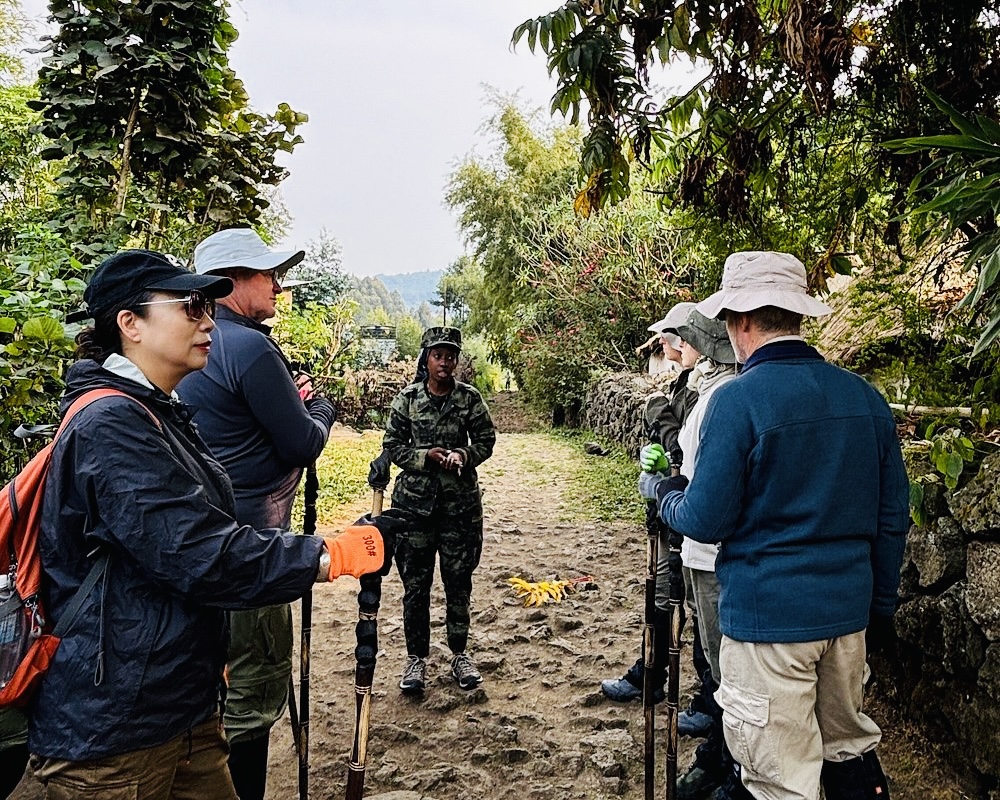 Gorilla Trekking,Shalom Safaris Rwanda