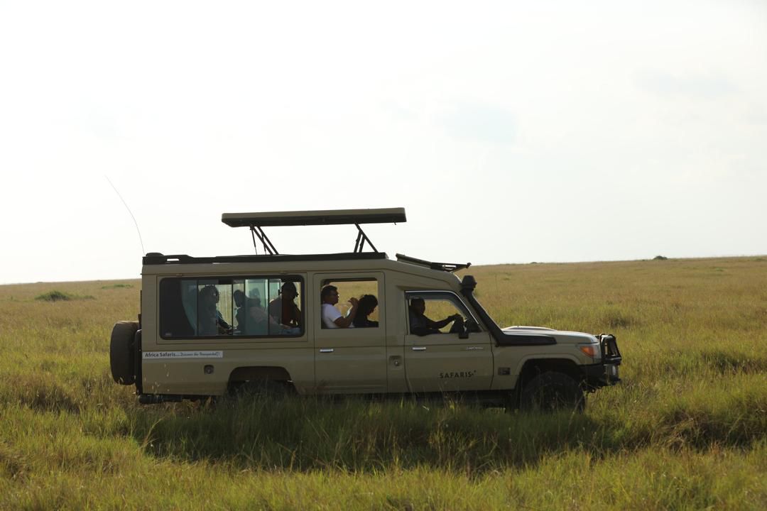 Kenya Safari