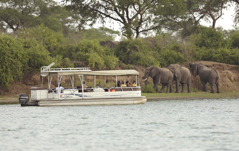 launch cruise nile