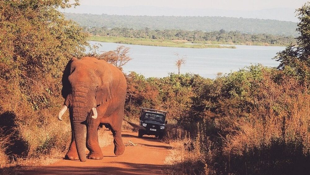 Akagera National Park Rwanda