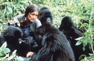 dian fossey