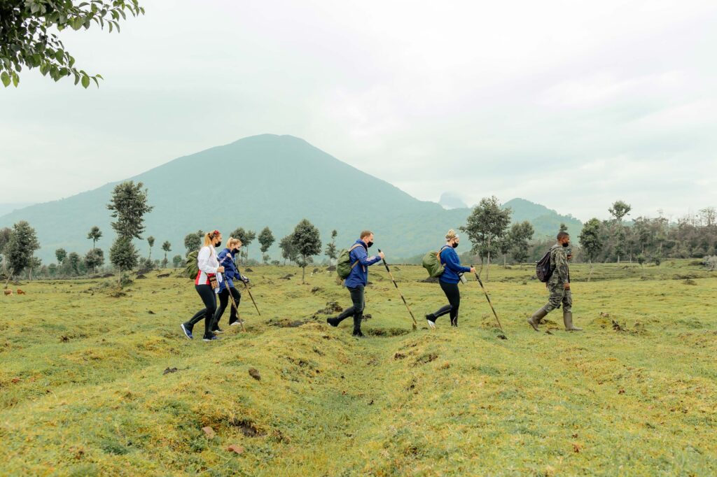 Gorilla trekking in Rwanda