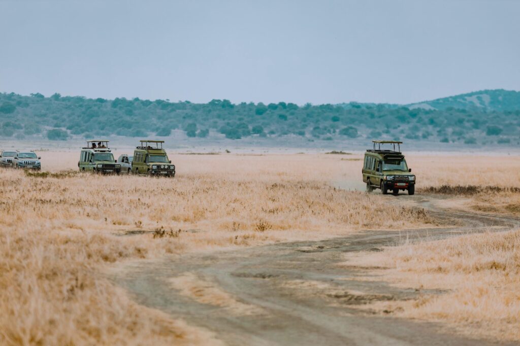 shalom safaris akagera national park wildlife