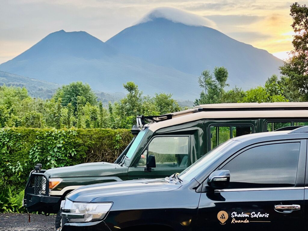 shalom safaris luxury primate trekking safari in rwanda