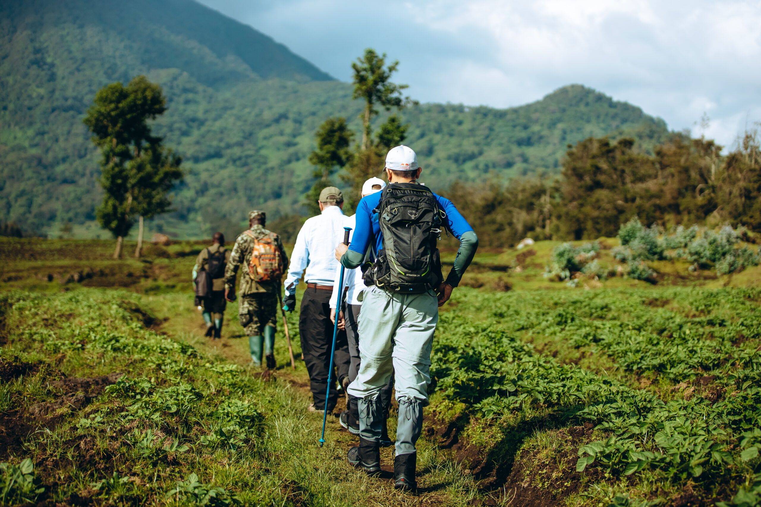 shalom safaris rwanda visit rwanda promo 18