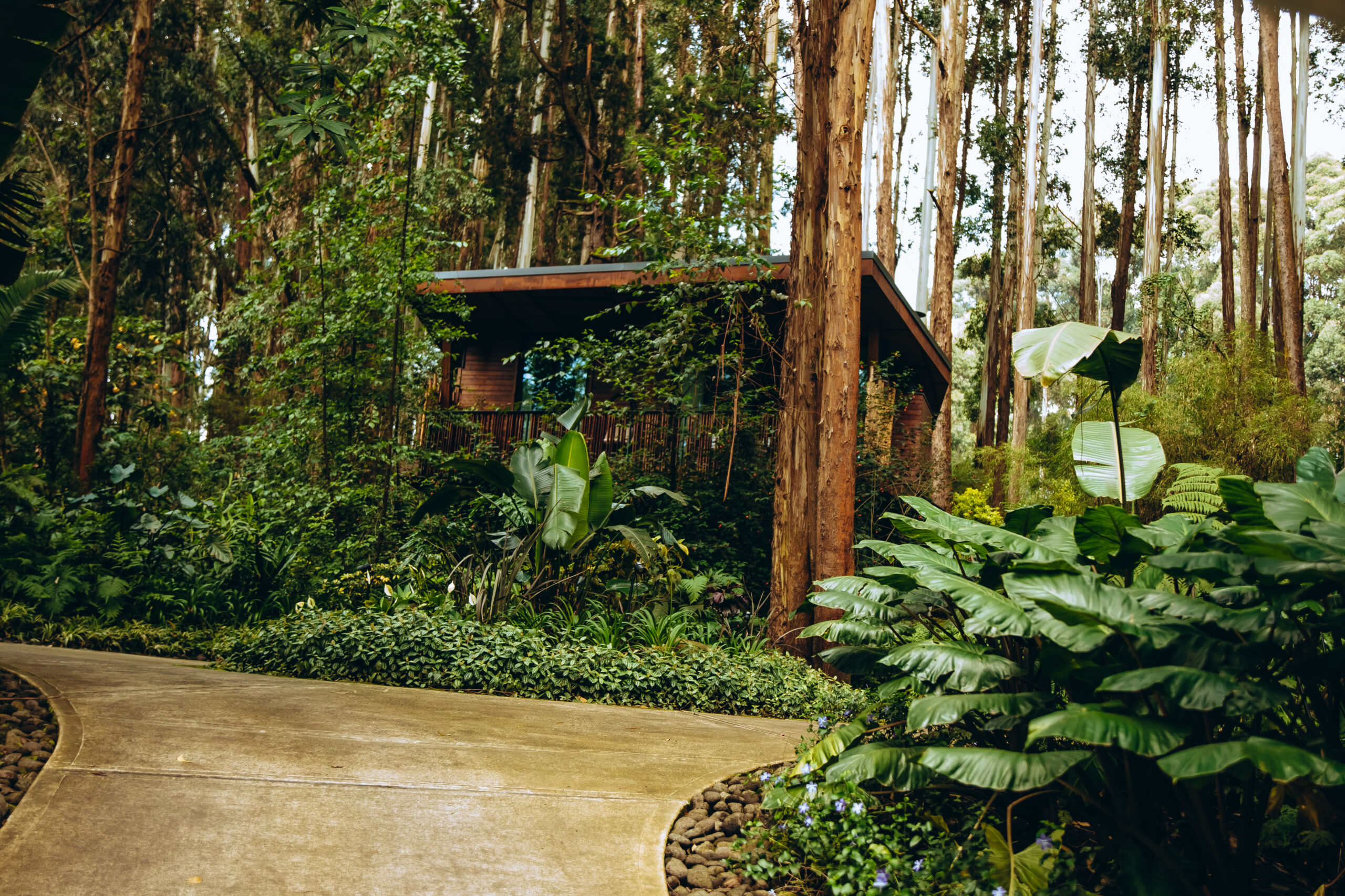 shalom safaris rwanda visit rwanda promo 21