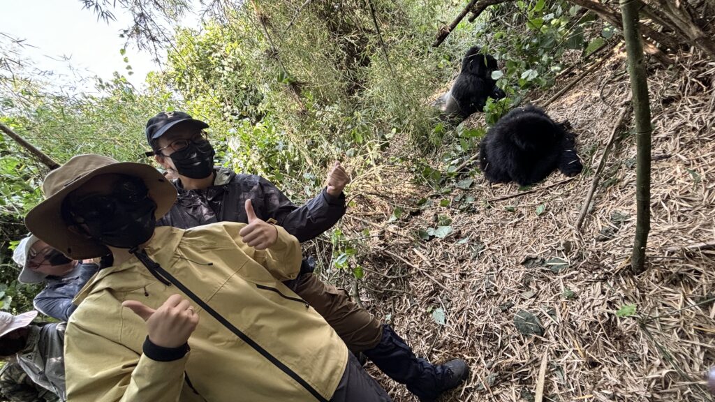gorilla trekking in rwanda (3)