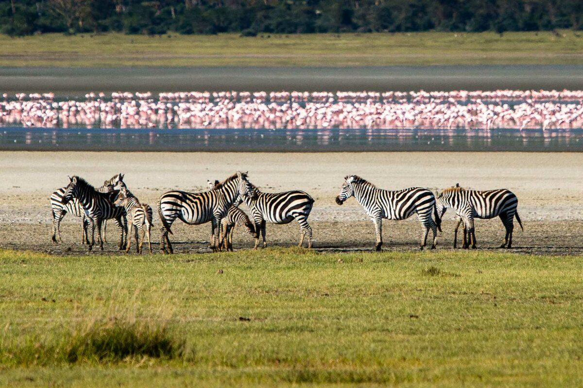 ngorogoro crater in tanzania with shalom safaris rwanda
