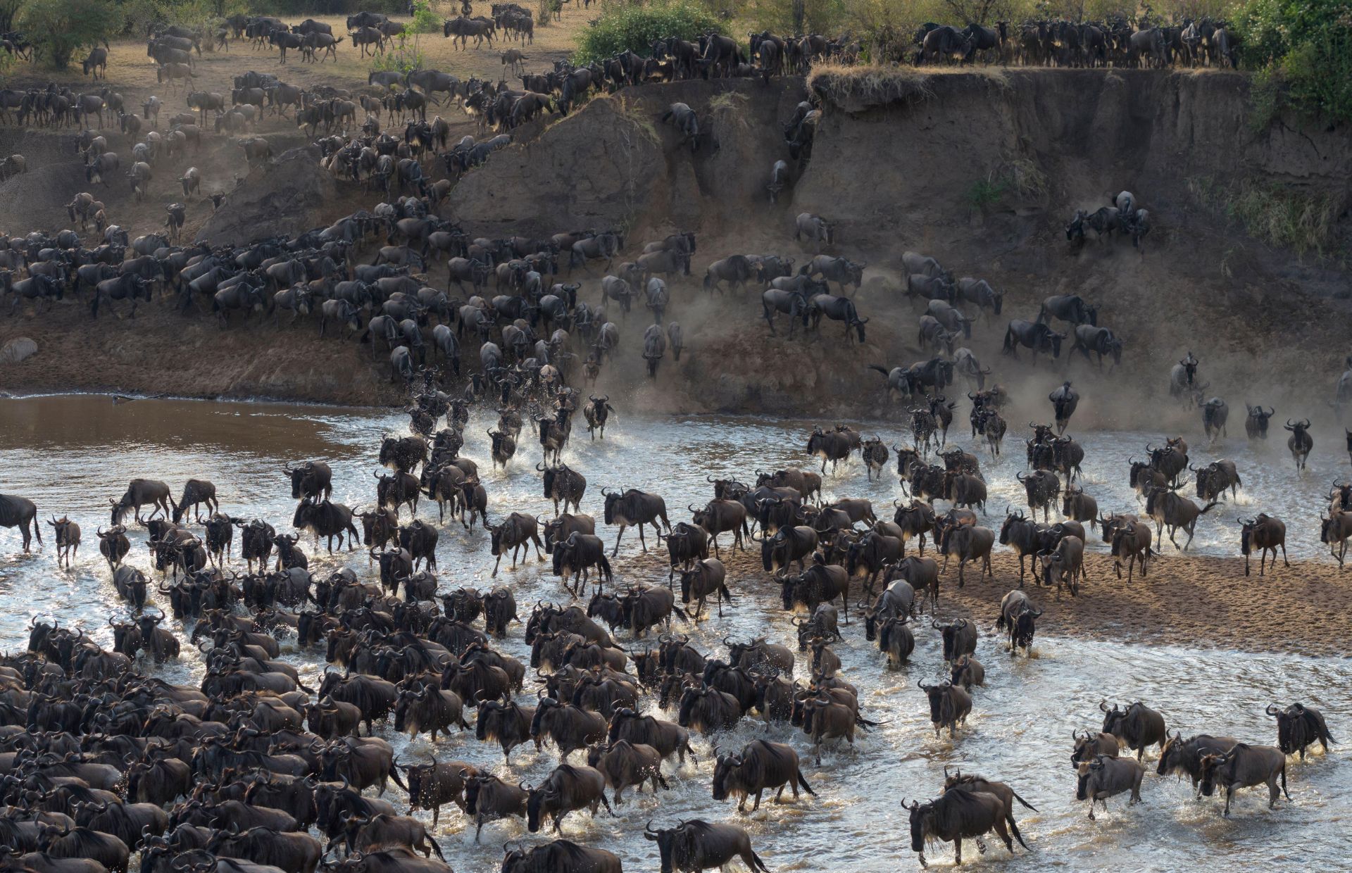 southern serengeti park shalom safaris rwanda great migration