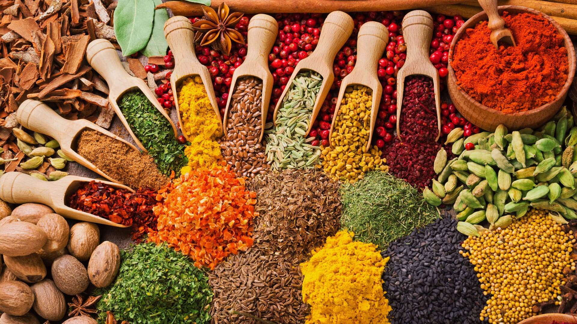 zanzibar spice shalom safaris