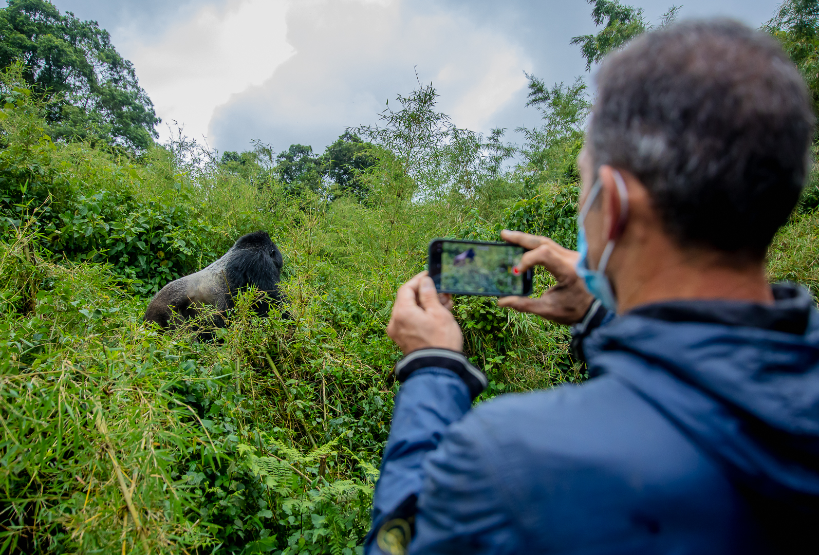 gorilla trekking in rwanda