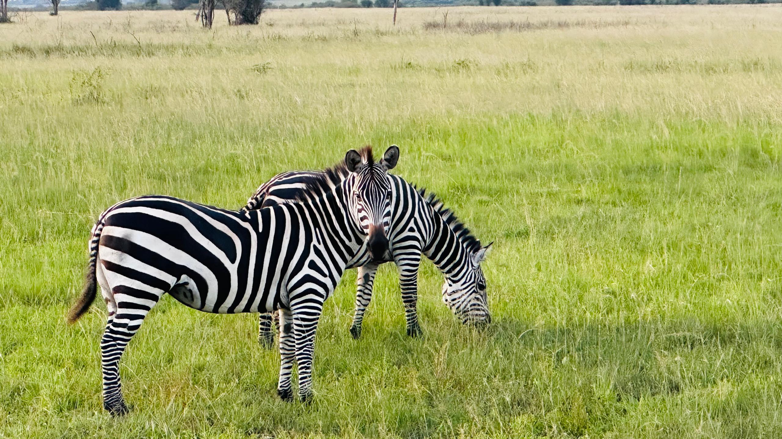 akagera national park