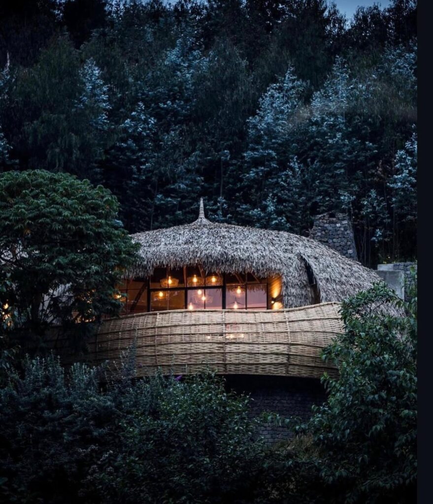 wildernesss bisate lodge, luxury safaris