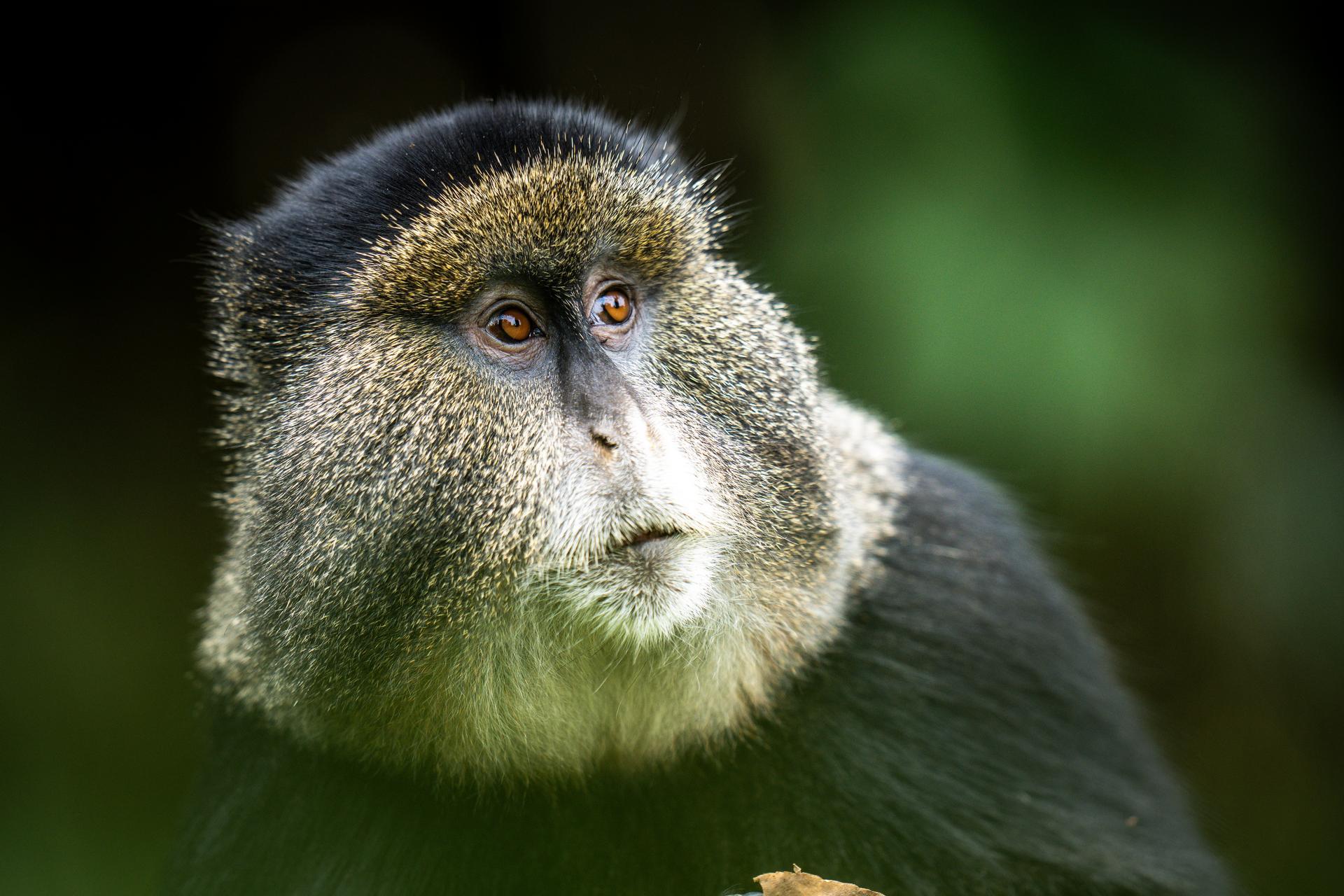 bisateres 09 24 felixs 1017