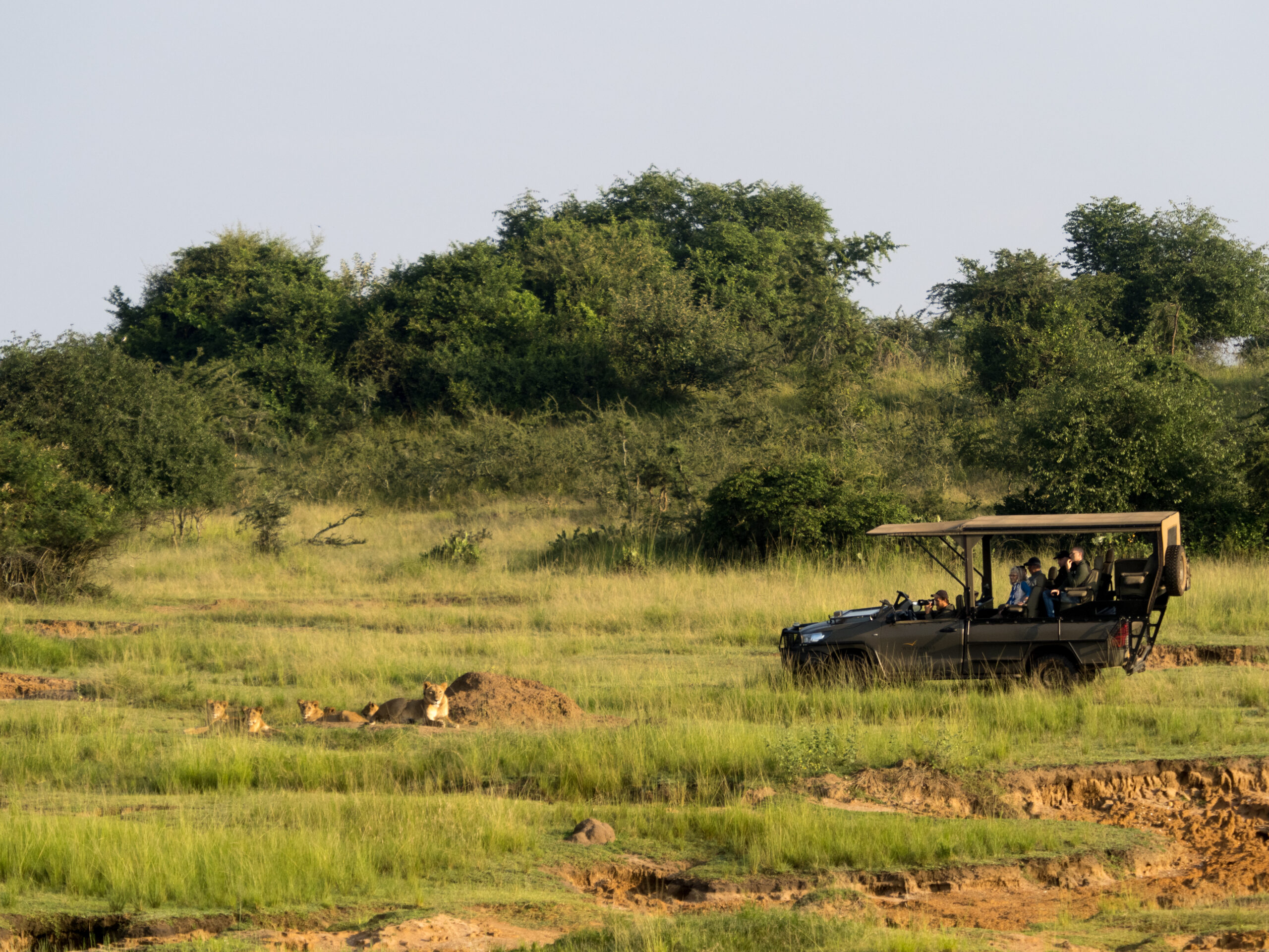luxury safaris